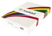 KASKAD COLOURED PAPER A4 160GSM OSPREY WHITE PACK 250