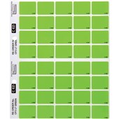 FILECORP CEZI COLOUR FLASH LABEL 03FCHLCOLCH2 40 LABELS LIGHT GREEN