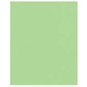 KASKAD COLOURED PAPER 640 X 920MM SRA1 225GSM LEAFBIRD GREEN SHEET